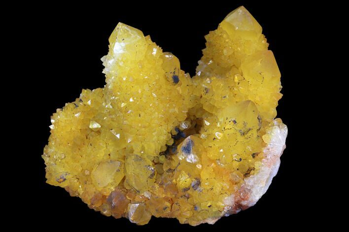 Sunshine Cactus Quartz Crystal - South Africa #96261
